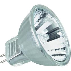 G4 10W Halogen Dichroic Bulb G4 10W Halogen Dichroic Bulb